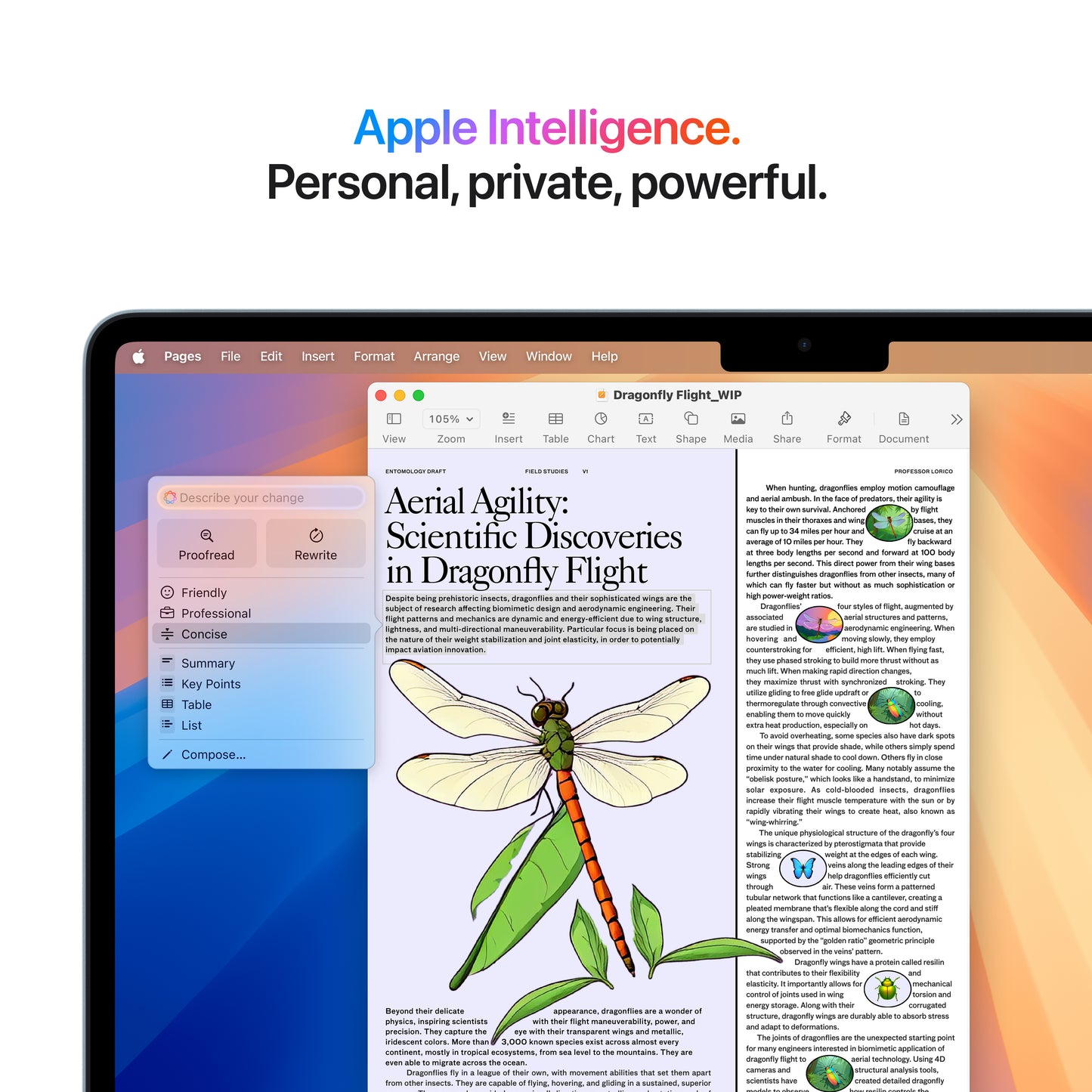 MacBook Air (13-Inch, M4)