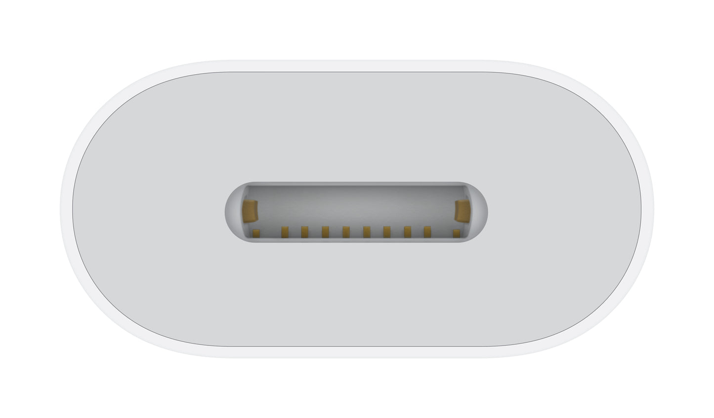 USB-C (Male) to Lightning (Female) Adapter