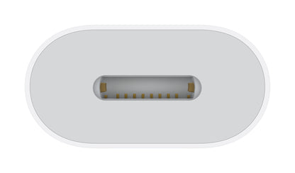 USB-C (Male) to Lightning (Female) Adapter