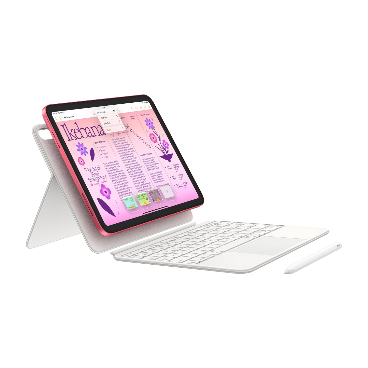 iPad (10th Gen, Previous Generation)