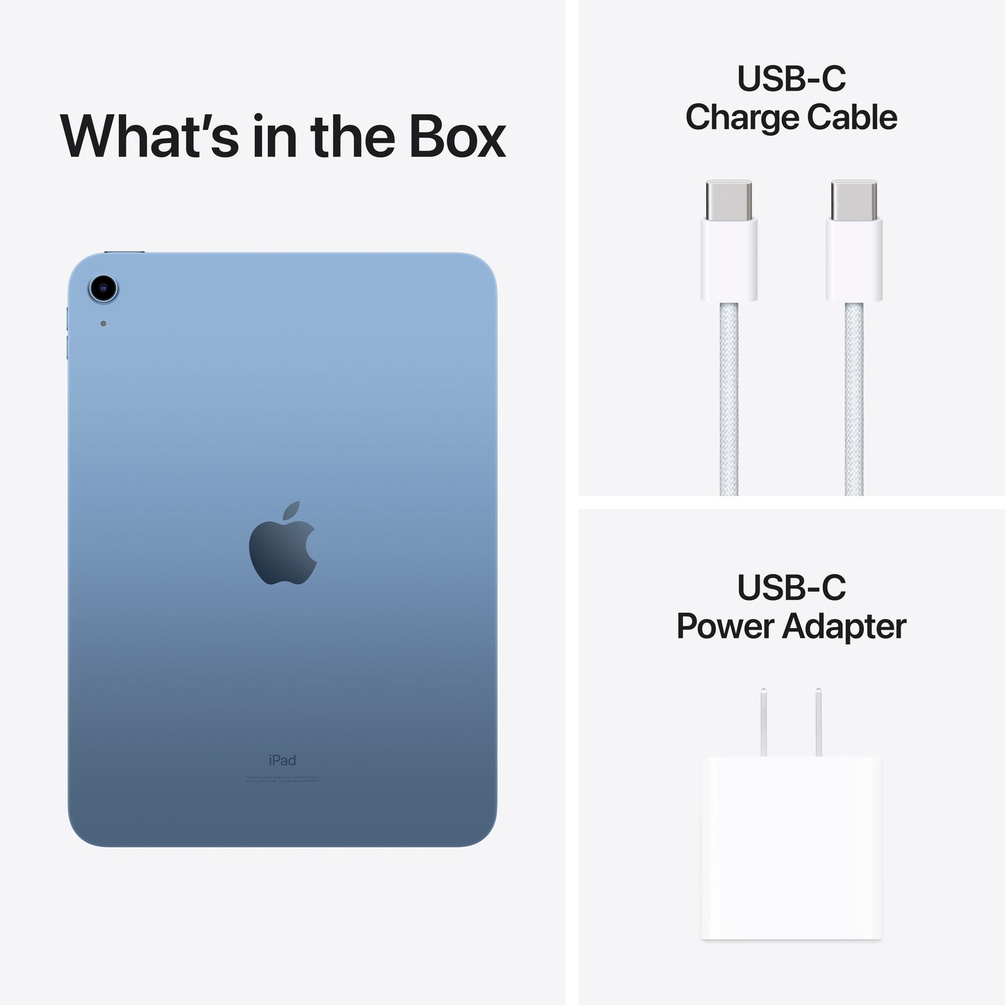 iPad (10th Gen, Previous Generation)