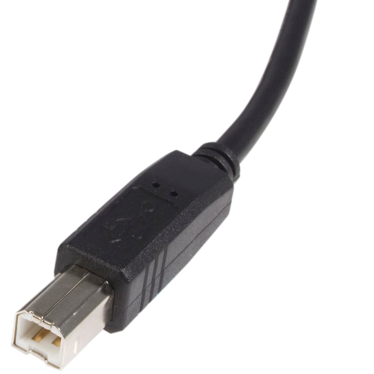 StarTech 6ft USB A-to-B Cable (printer cable)
